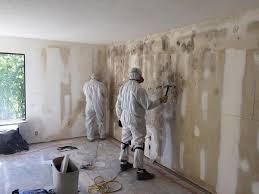 Best Mold Removal for HVAC Installations  in Pleasanton, TX